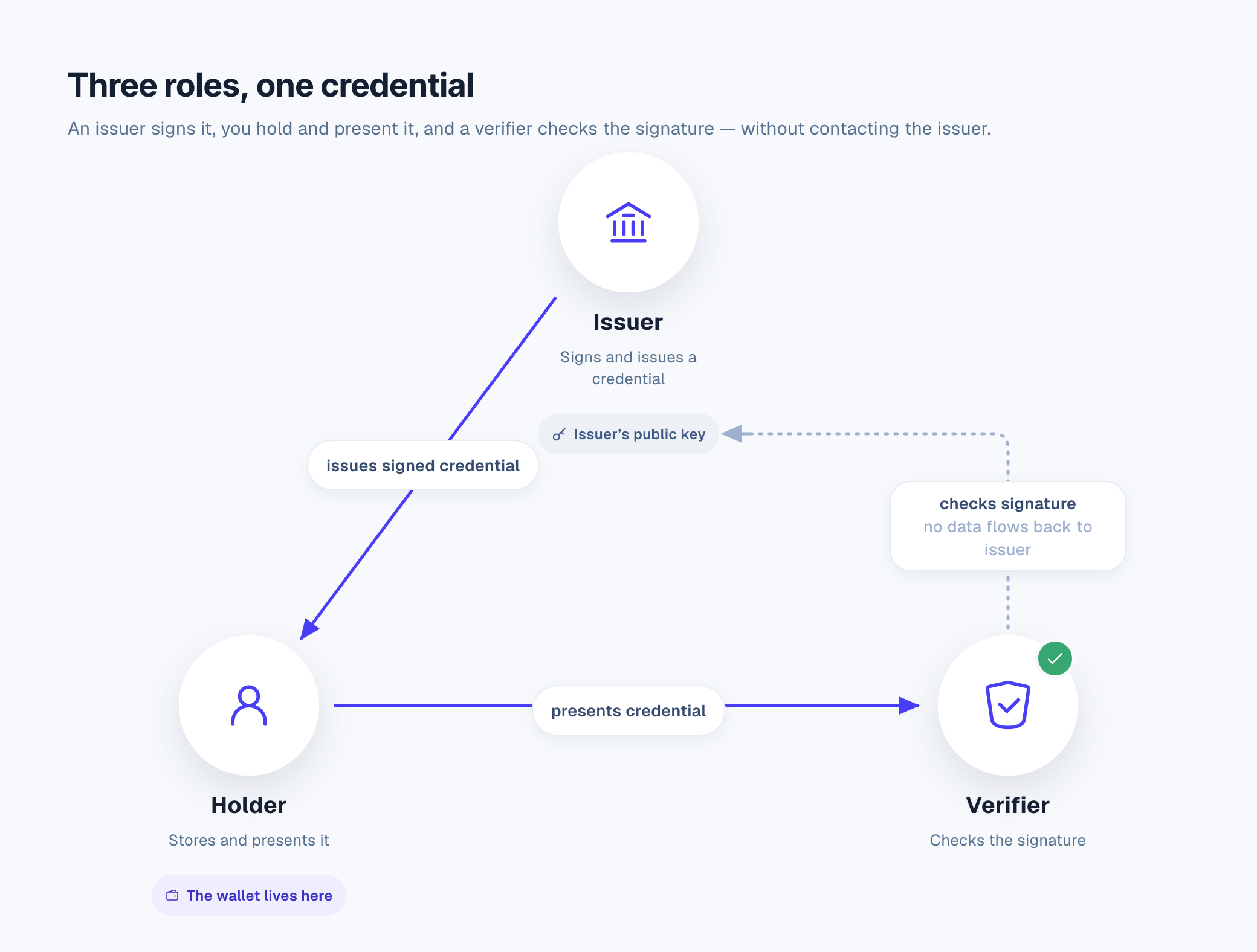 The three roles in the digital identity model: an issuer signs a credential and issues it to the holder, the holder stores it in their wallet and presents it, and the verifier checks the signature against the issuer's published key without any data returning to the issuer